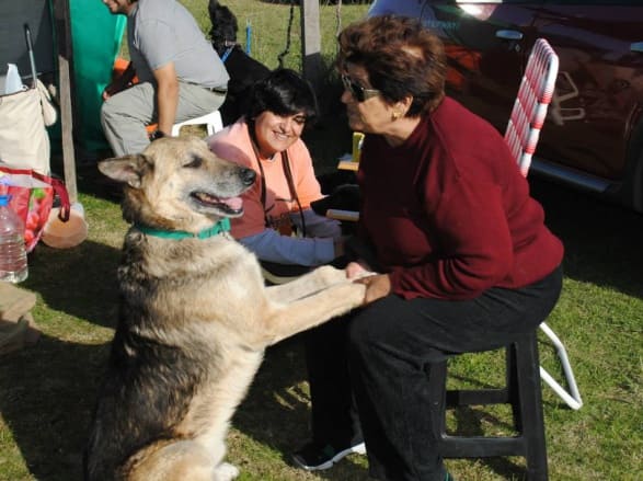 Fotos de las visitas al refugio